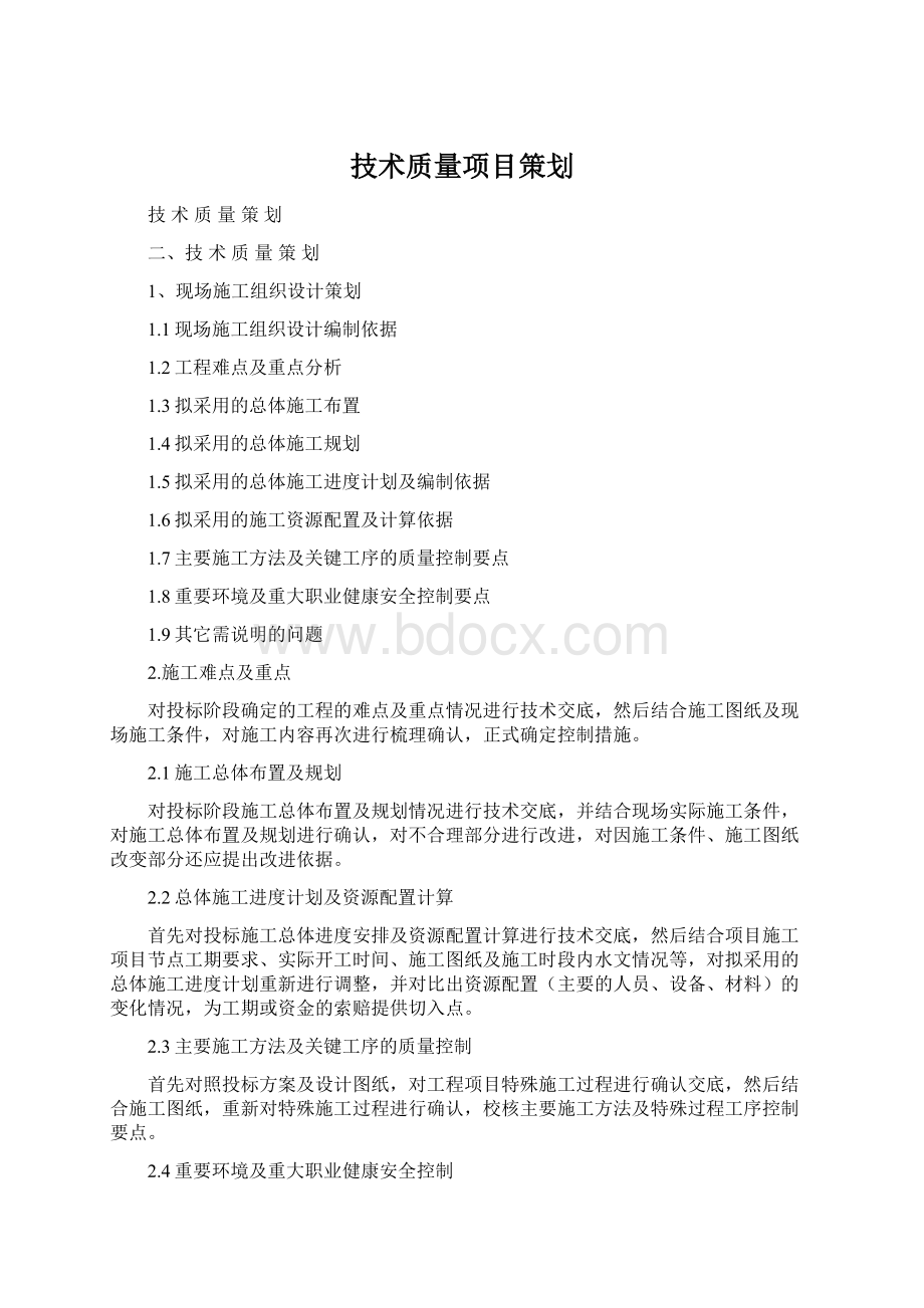 技术质量项目策划Word下载.docx