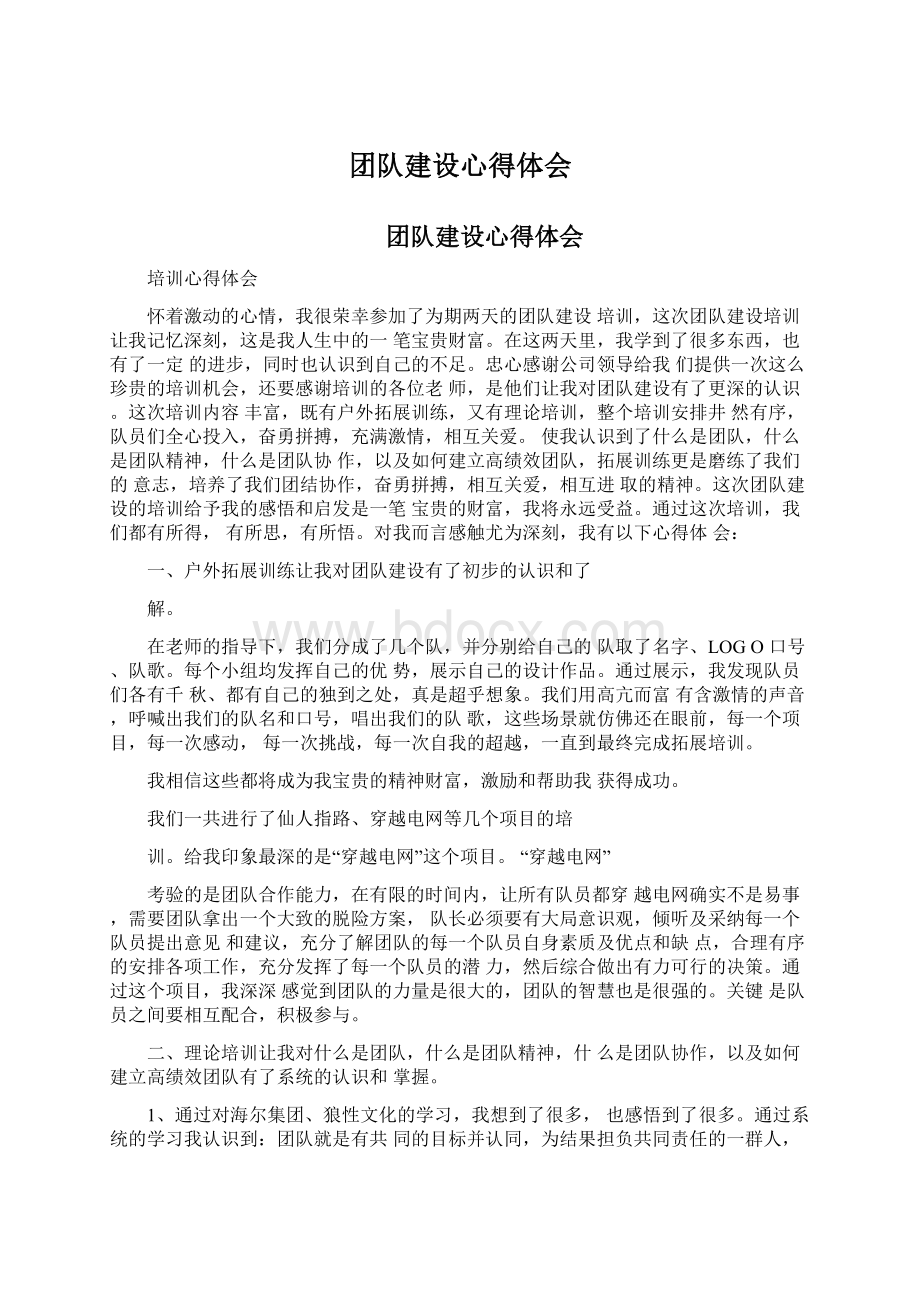 团队建设心得体会文档格式.docx