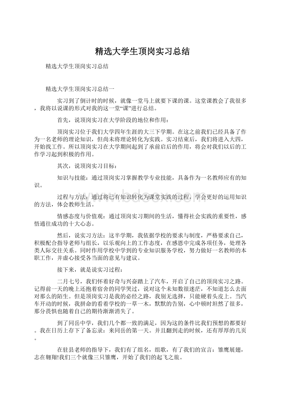 精选大学生顶岗实习总结.docx_第1页