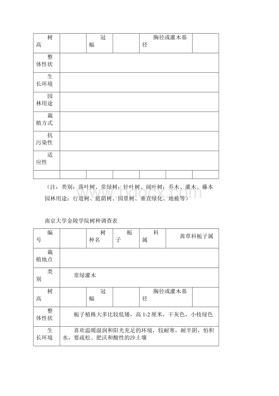 树木整理汇总表.docx_第2页