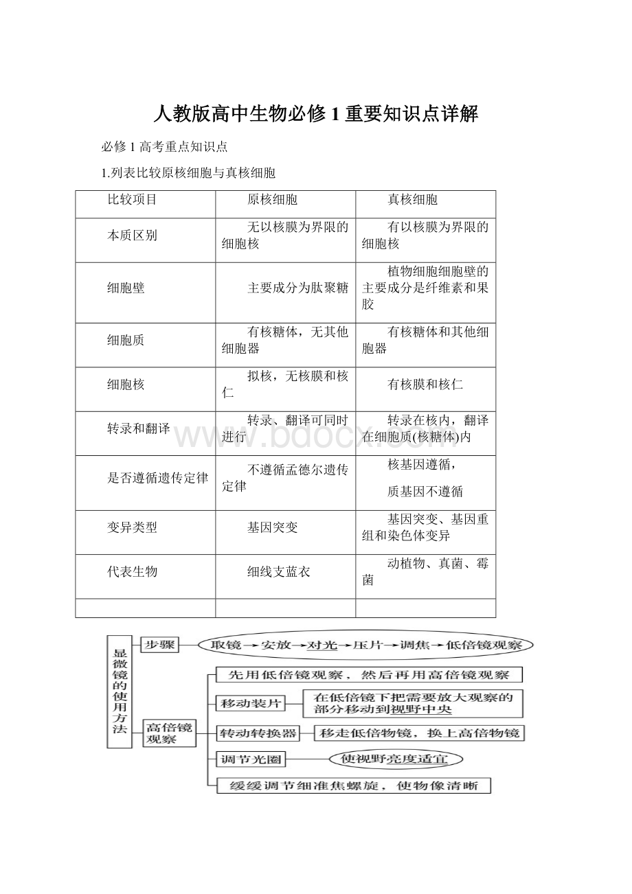 人教版高中生物必修1重要知识点详解.docx_第1页