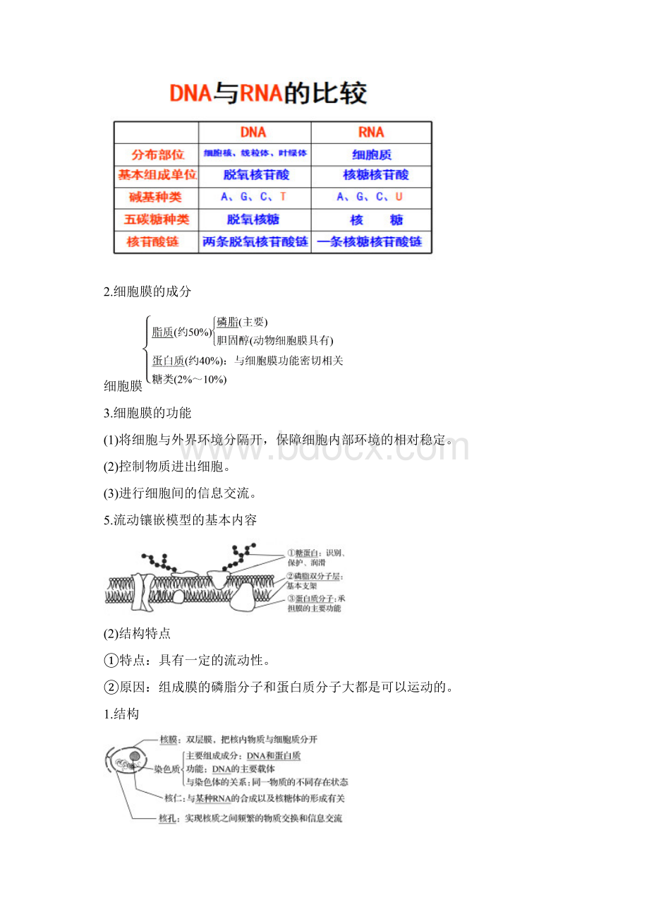 人教版高中生物必修1重要知识点详解.docx_第3页