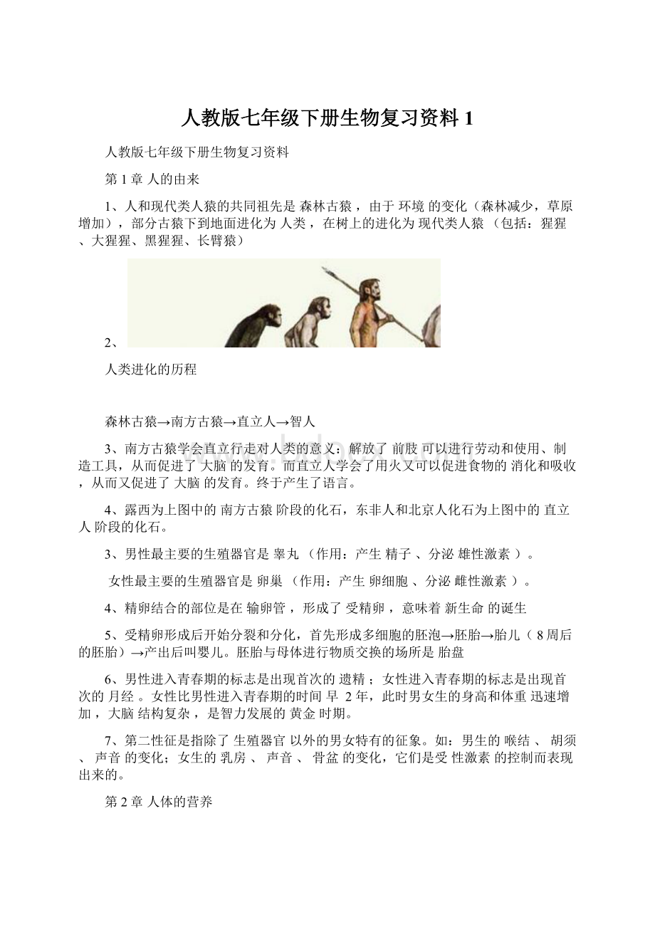 人教版七年级下册生物复习资料 1Word格式文档下载.docx