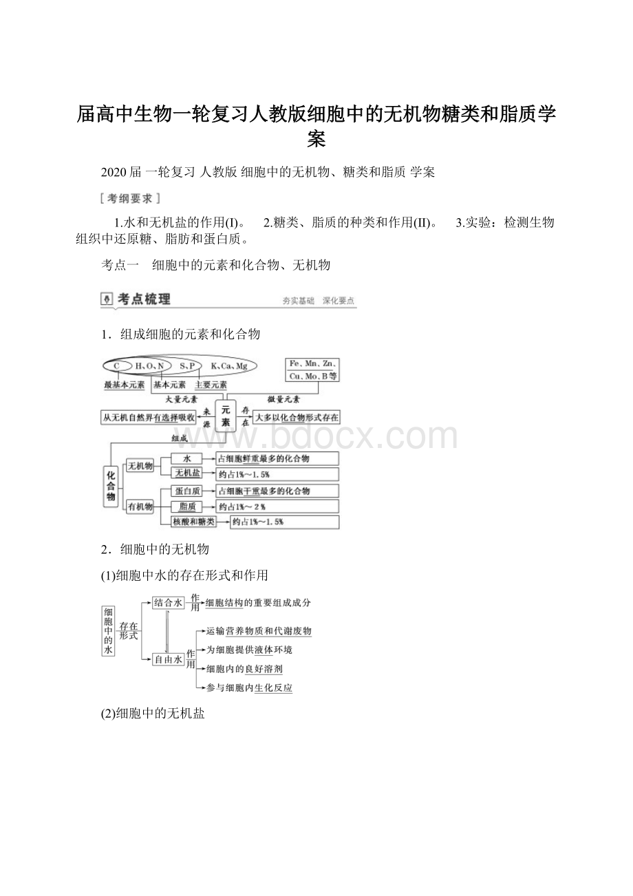 届高中生物一轮复习人教版细胞中的无机物糖类和脂质学案Word下载.docx