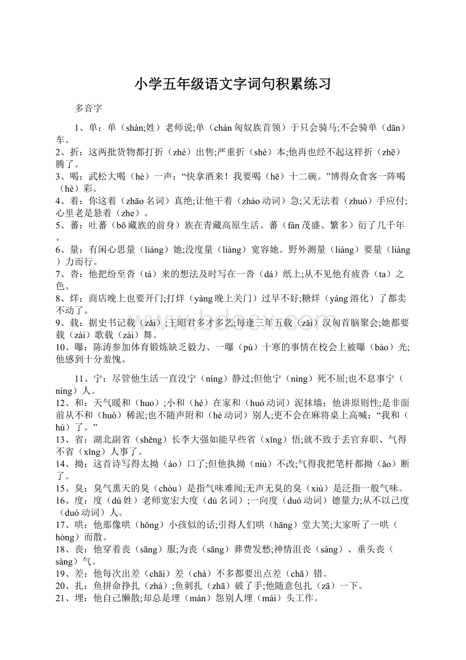 小学五年级语文字词句积累练习Word下载.docx