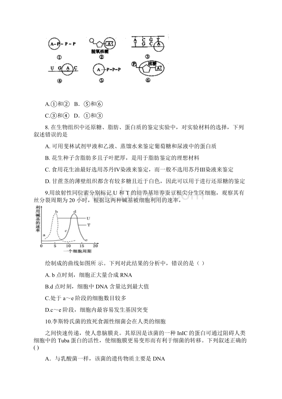 湖南省永州市祁阳县届高三生物上学期第二次月考试题Word下载.docx_第2页