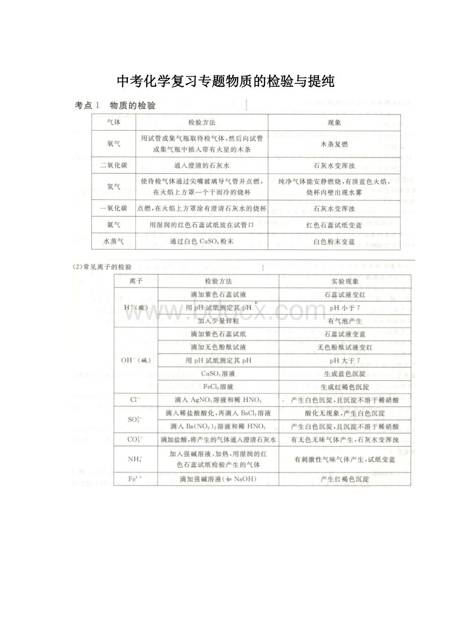 中考化学复习专题物质的检验与提纯Word文档格式.docx_第1页