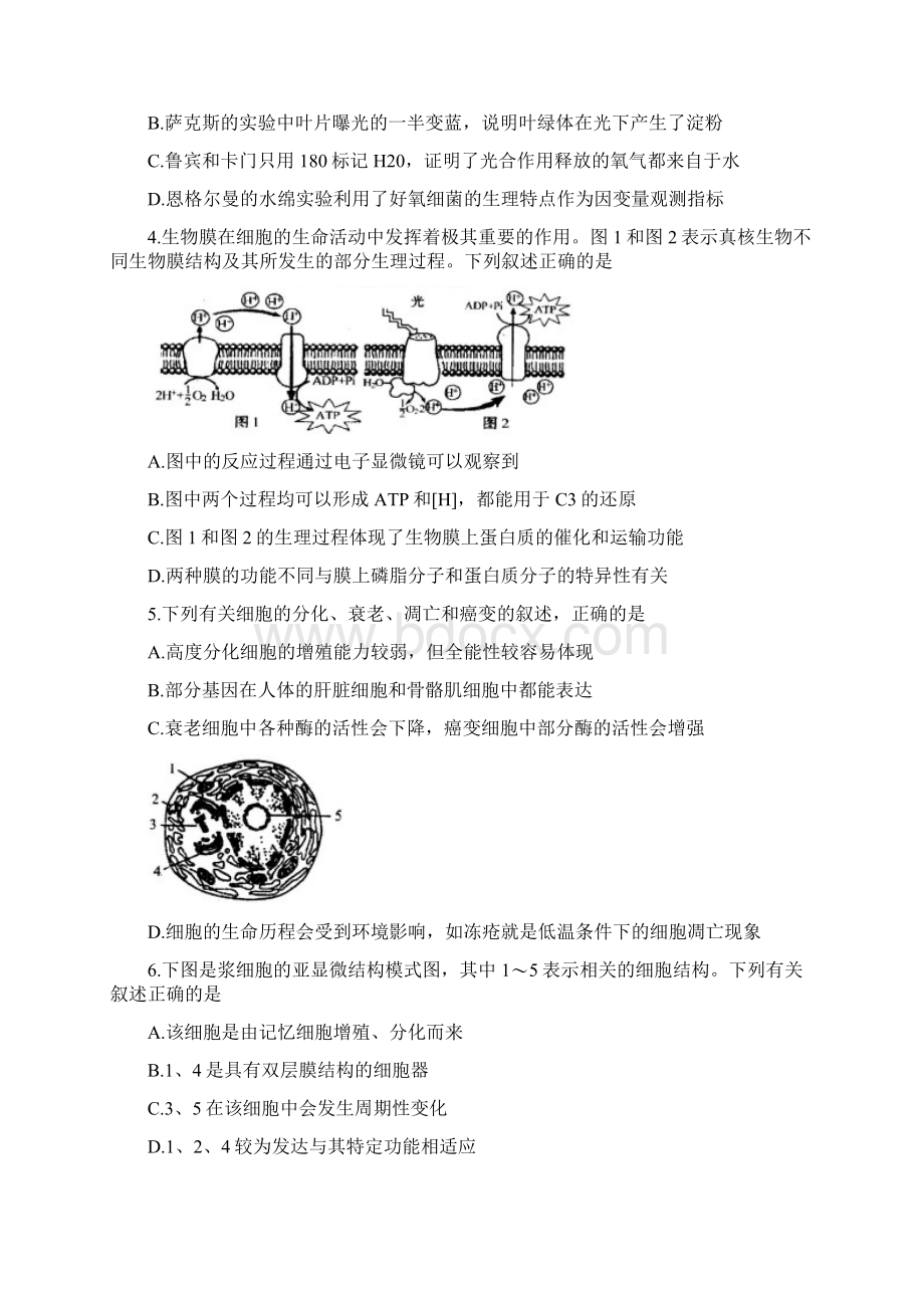 江苏省苏州市届高三学业质量阳光指标调研生物试题+Word版含答案Word文档下载推荐.docx_第2页