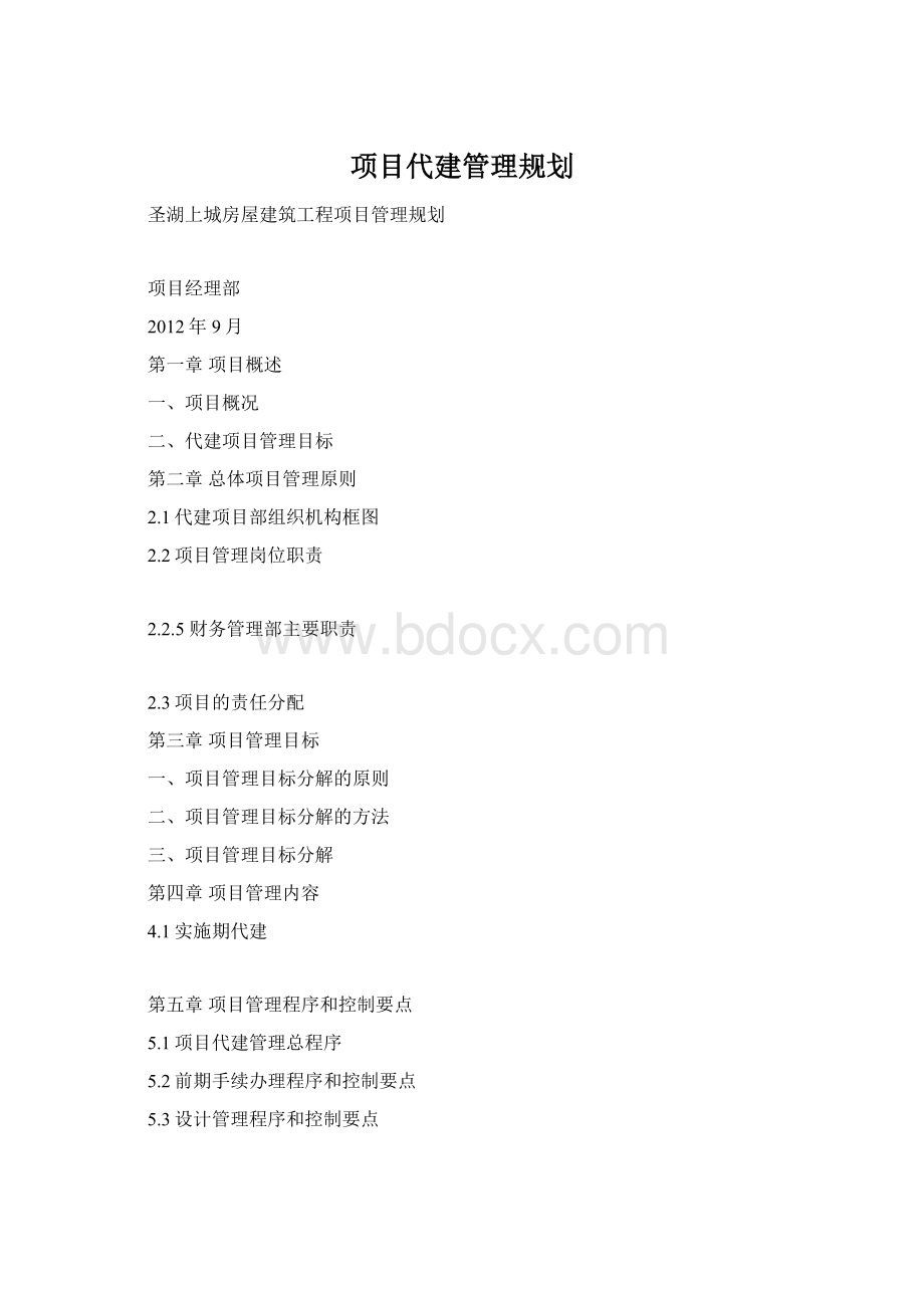 项目代建管理规划Word文档格式.docx