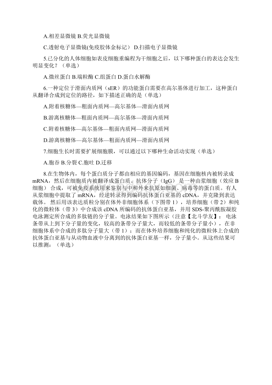 全国中学生生物学联赛考试北斗学友版文档格式.docx_第2页