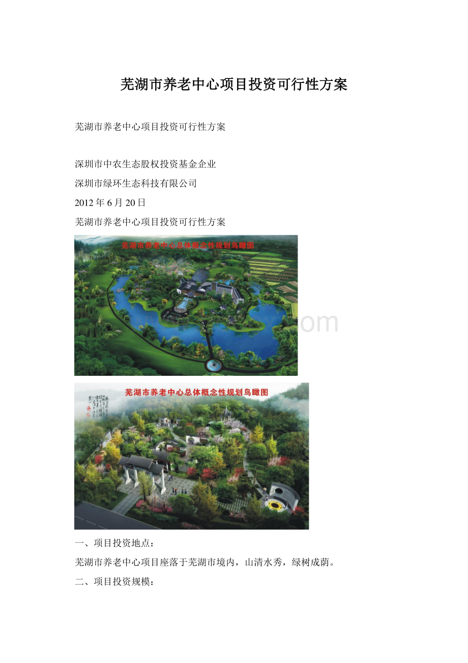 芜湖市养老中心项目投资可行性方案.docx