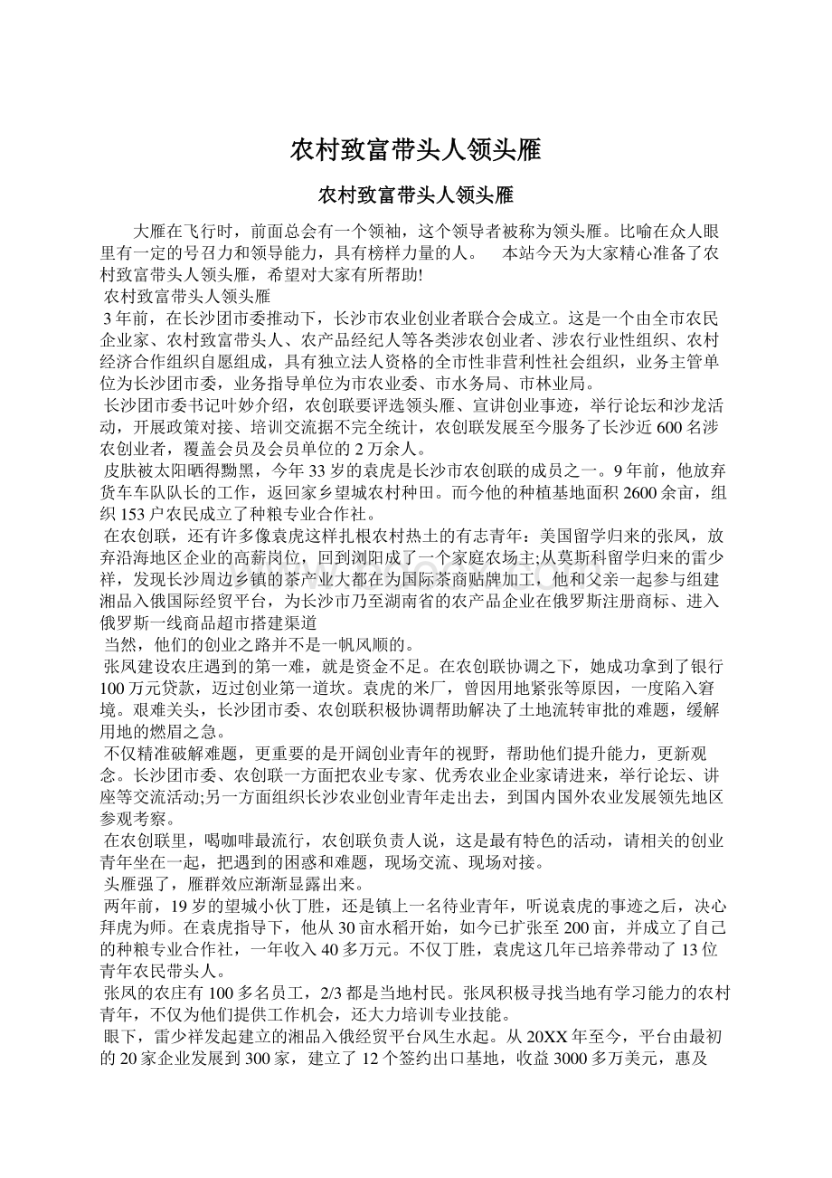 农村致富带头人领头雁Word格式文档下载.docx_第1页