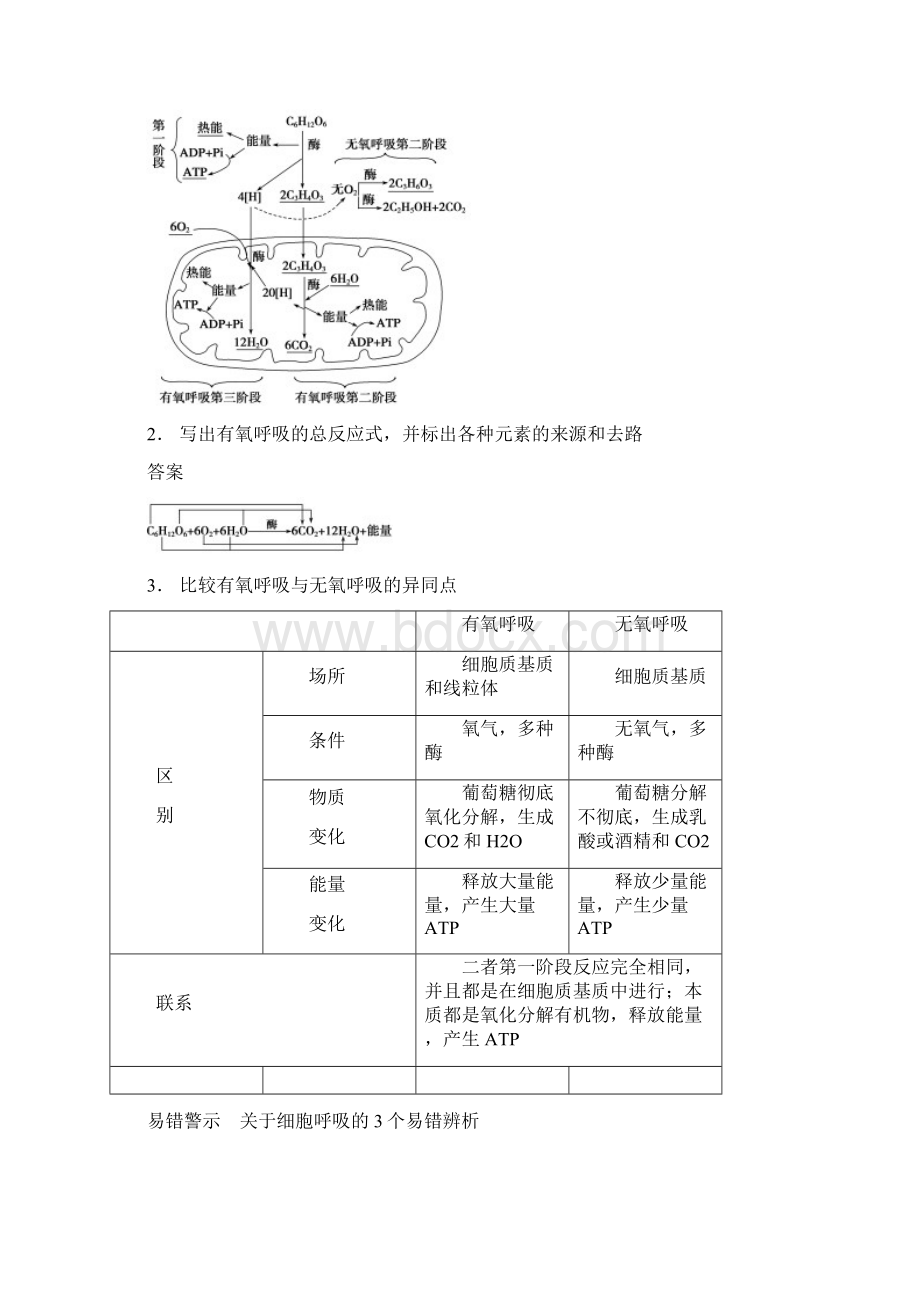 步步高高考生物一轮总复习精品讲义 第9讲 细胞呼吸 新人教版Word文件下载.docx_第2页