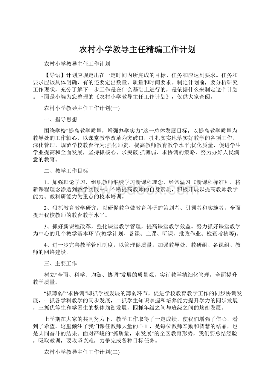 农村小学教导主任精编工作计划文档格式.docx