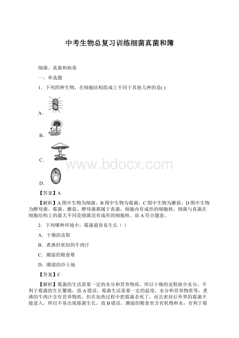 中考生物总复习训练细菌真菌和簿.docx_第1页