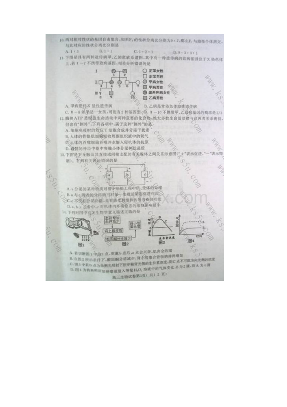 南京高三三模生物试题及答案.docx_第3页