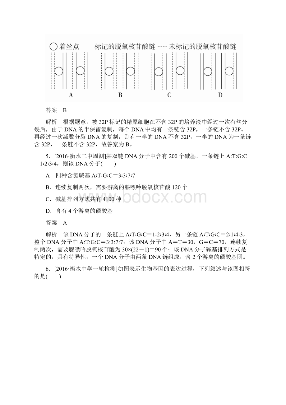 高考生物一轮复习专题练10遗传的分子基础.docx_第3页