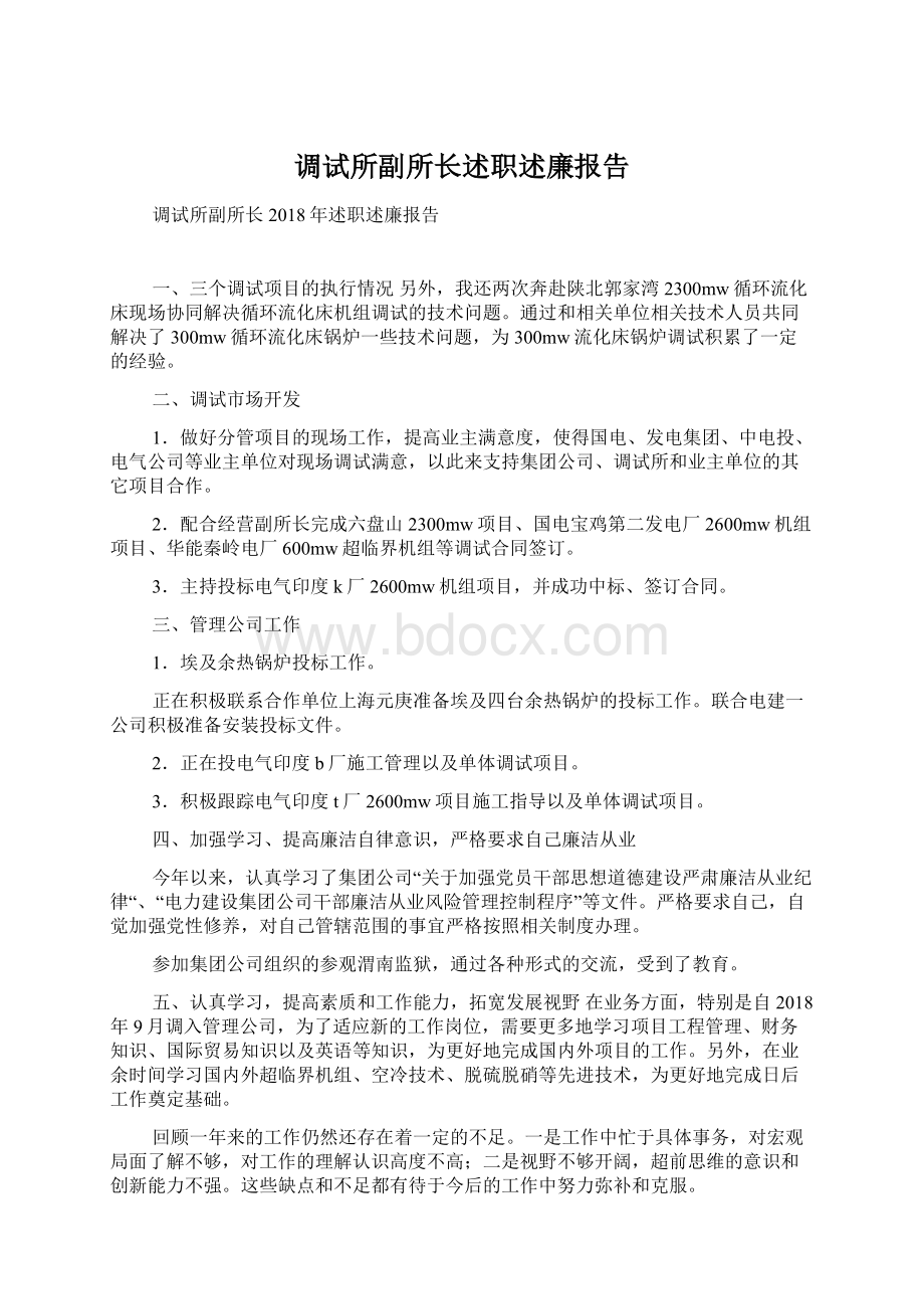 调试所副所长述职述廉报告.docx_第1页