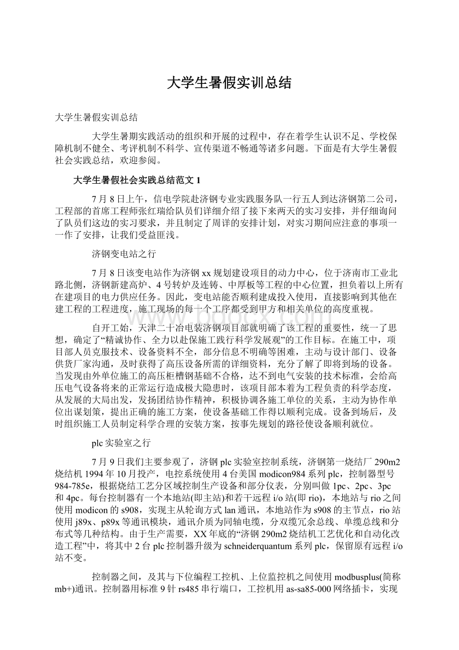 大学生暑假实训总结Word下载.docx