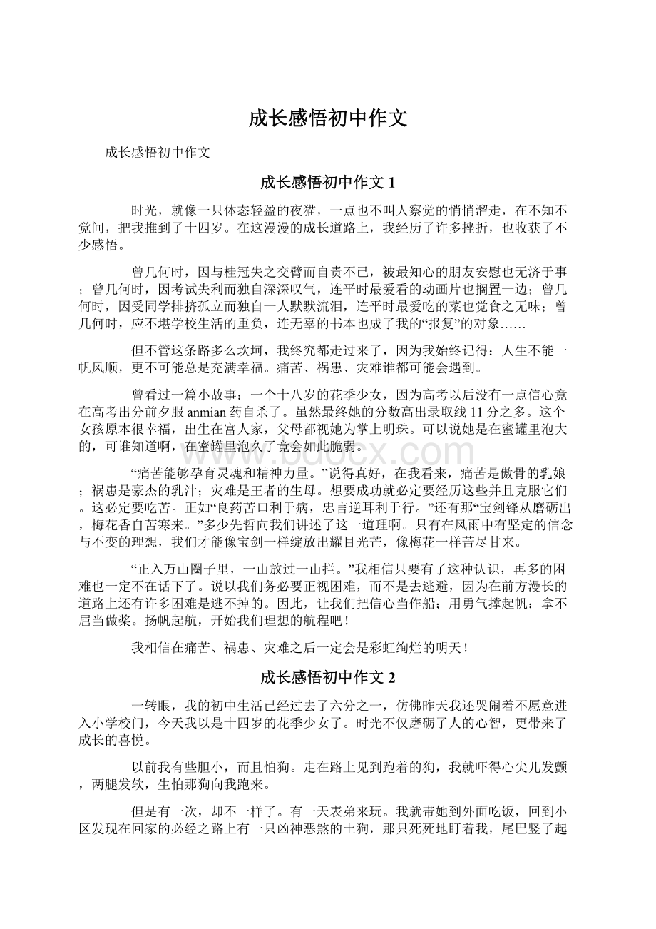 成长感悟初中作文Word文件下载.docx