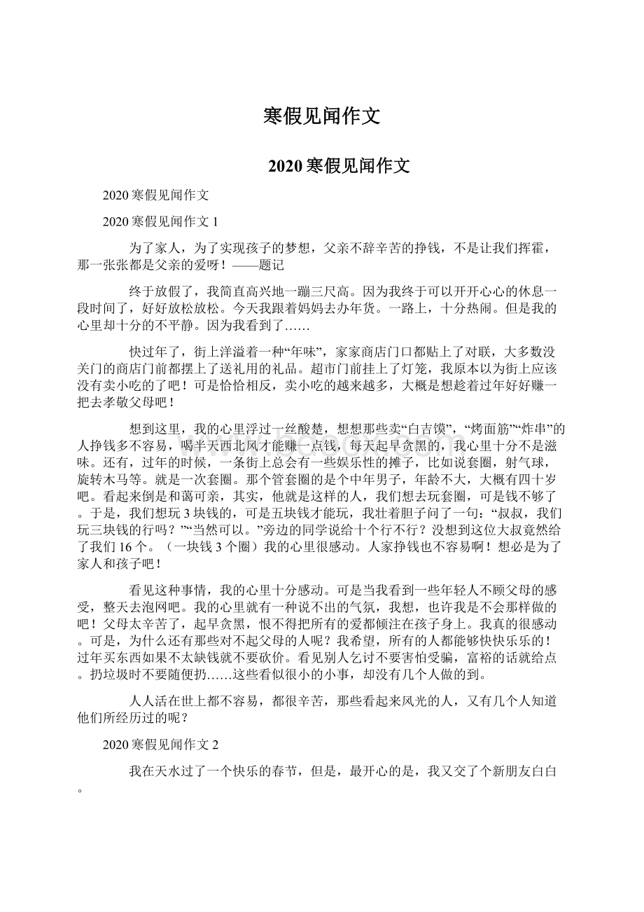 寒假见闻作文Word格式文档下载.docx