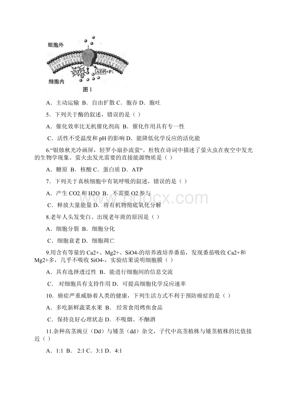 福建省普通高中学业水平合格性考试生物精彩试题.docx_第2页