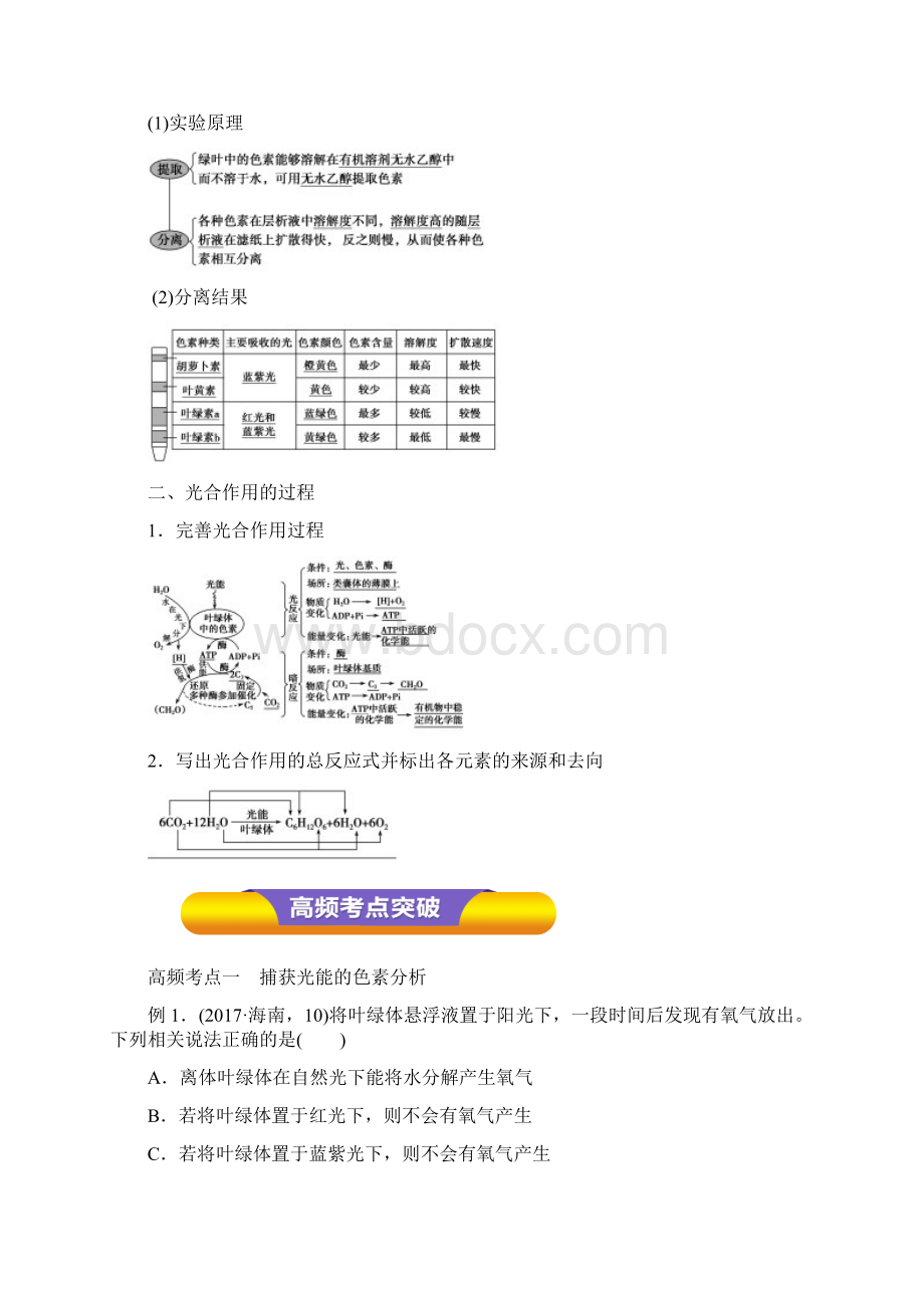 高考生物一轮复习 专题33 光与光合作用教学案.docx_第2页