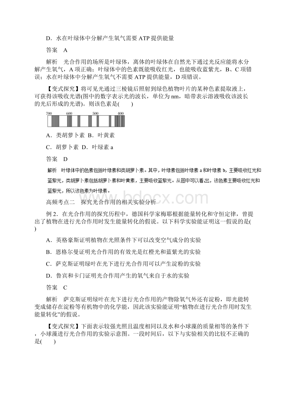 高考生物一轮复习 专题33 光与光合作用教学案.docx_第3页