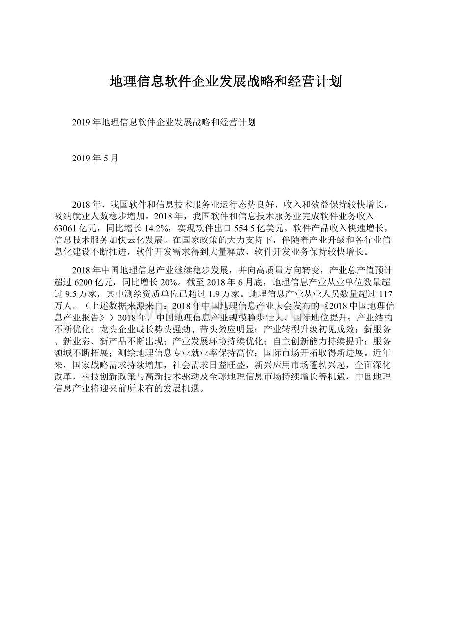 地理信息软件企业发展战略和经营计划.docx_第1页