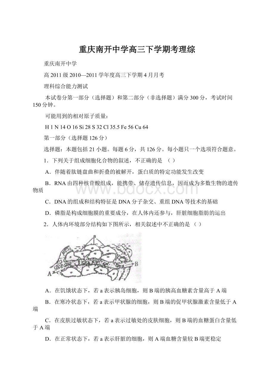 重庆南开中学高三下学期考理综Word格式.docx