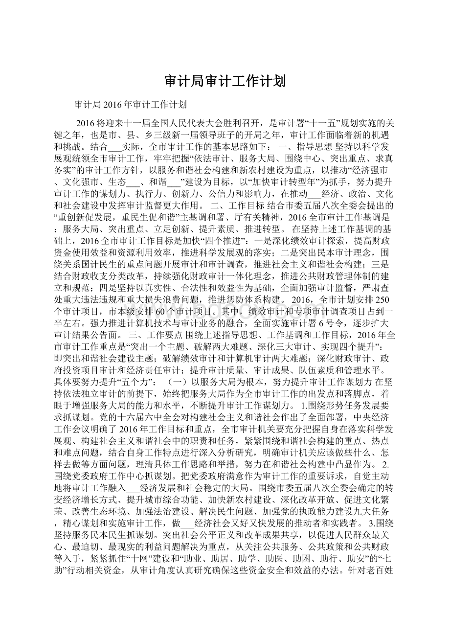 审计局审计工作计划.docx