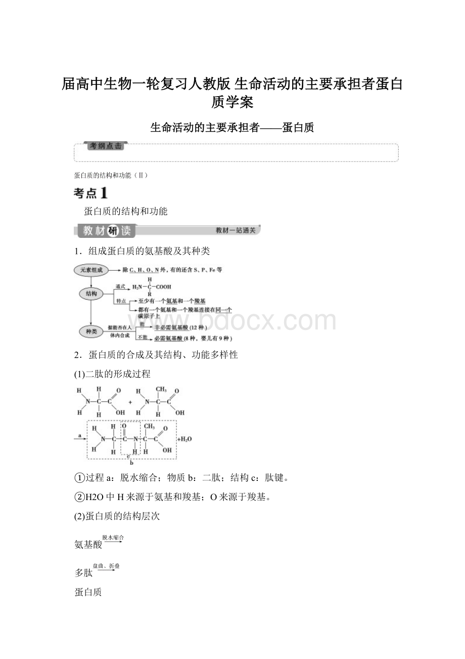 届高中生物一轮复习人教版 生命活动的主要承担者蛋白质学案.docx