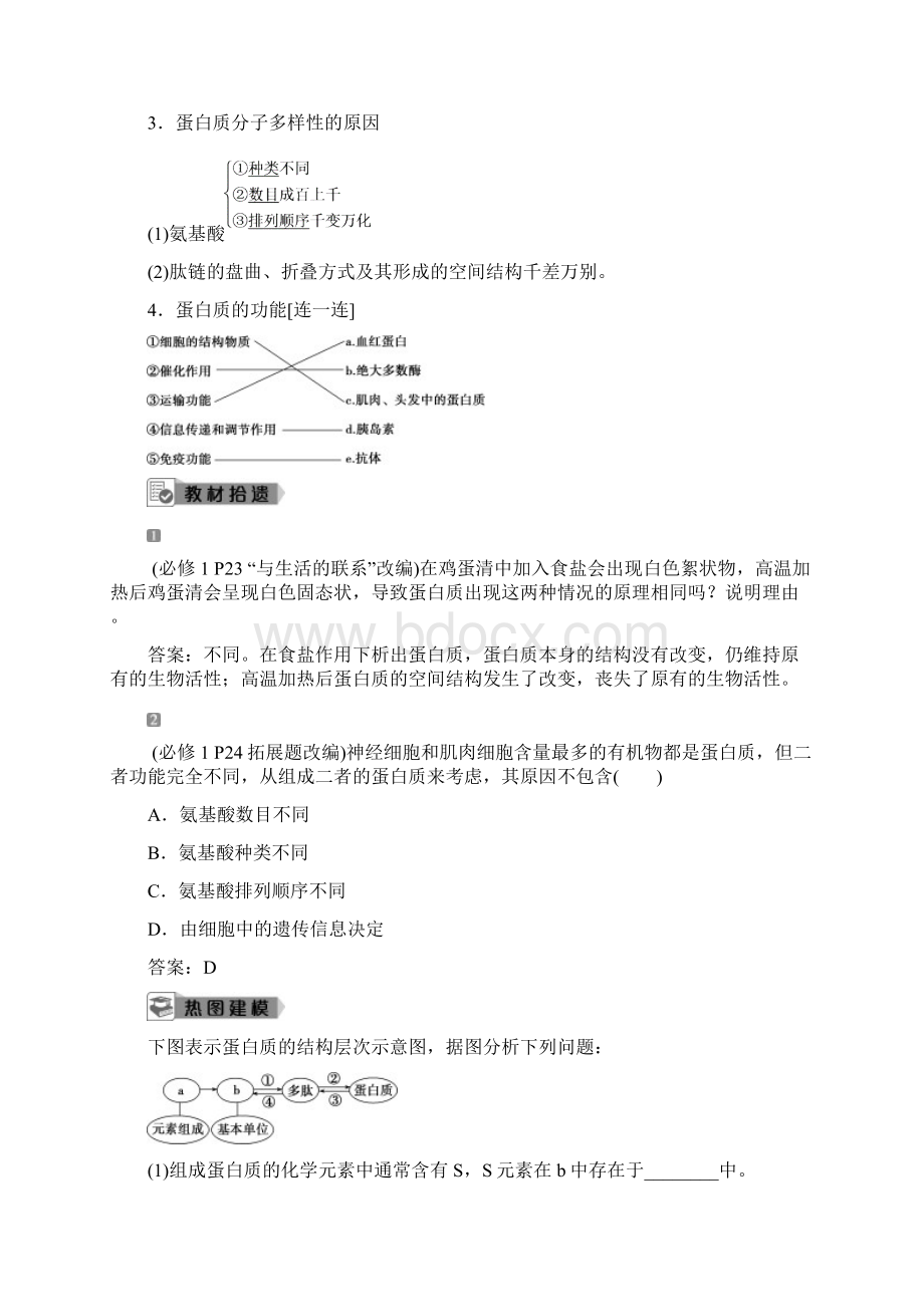 届高中生物一轮复习人教版 生命活动的主要承担者蛋白质学案Word格式文档下载.docx_第2页