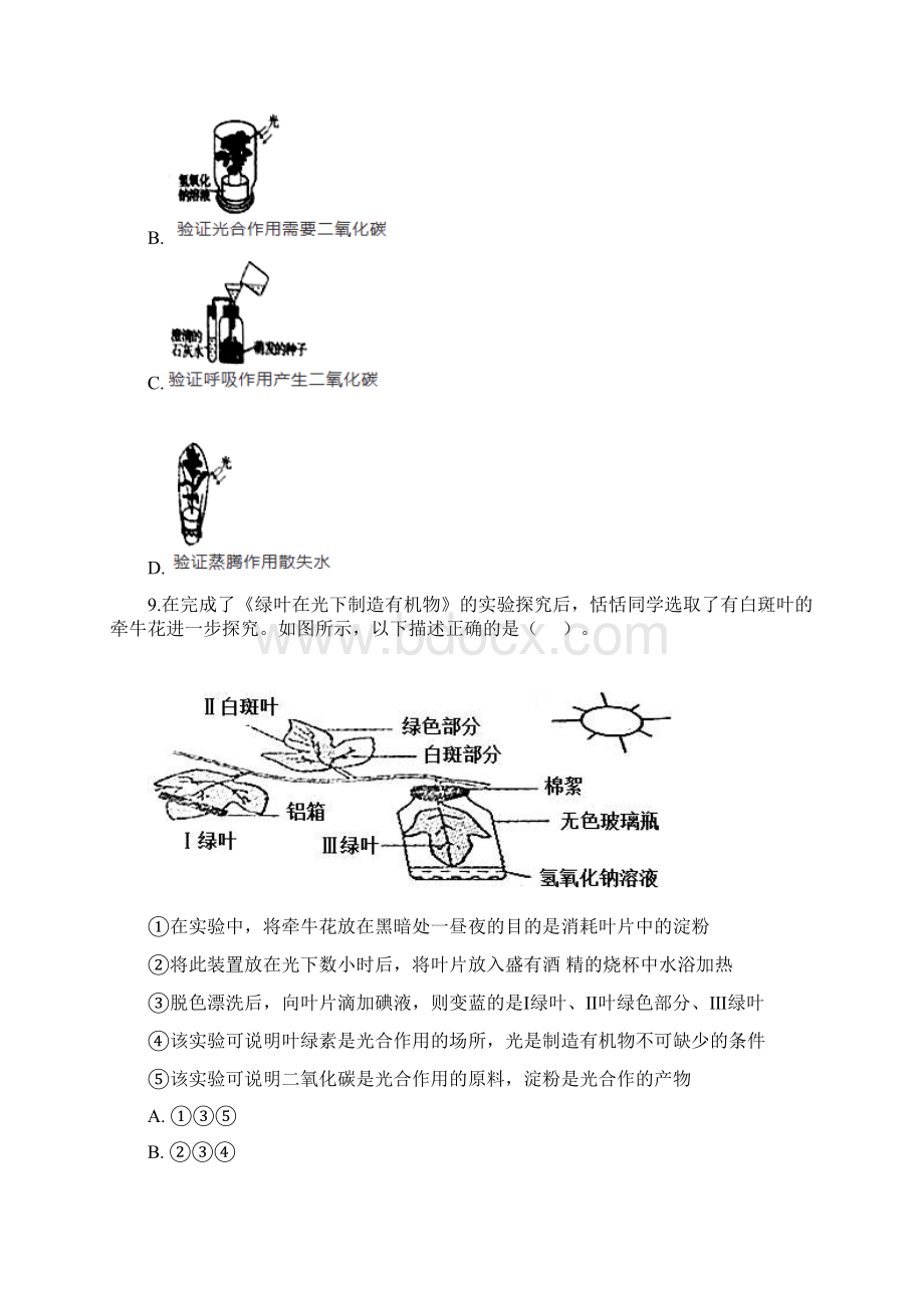 中考生物专题复习卷绿色植物的生活方式含答案解析Word格式.docx_第3页