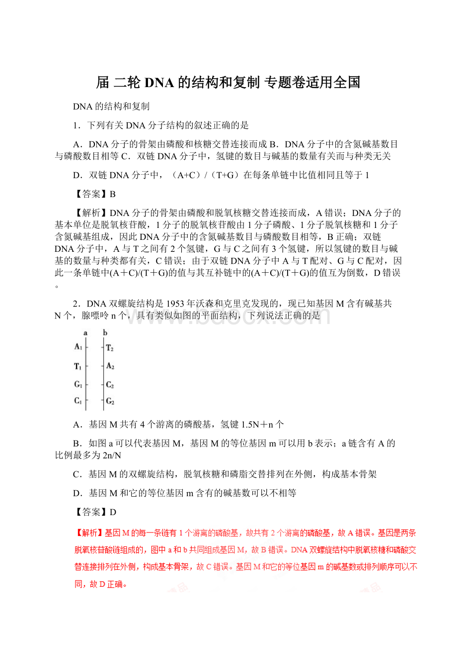 届 二轮 DNA的结构和复制专题卷适用全国Word文件下载.docx