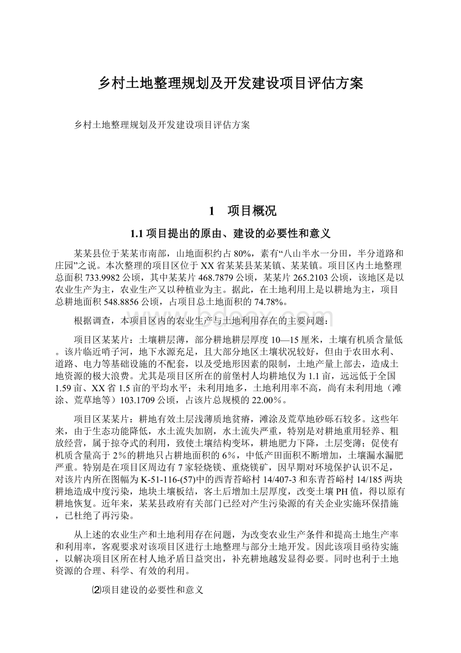 乡村土地整理规划及开发建设项目评估方案.docx