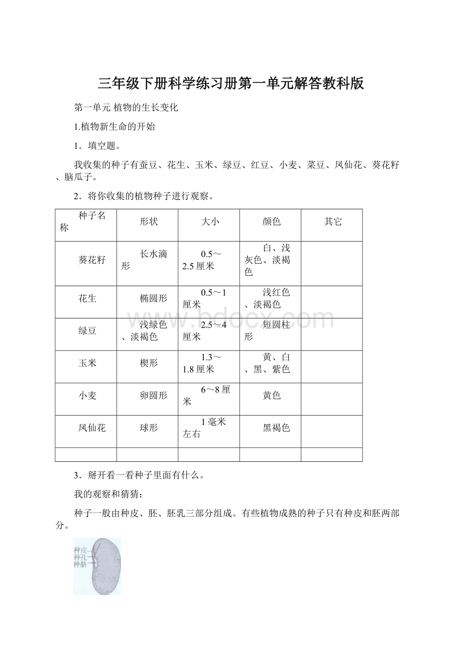 三年级下册科学练习册第一单元解答教科版Word格式.docx