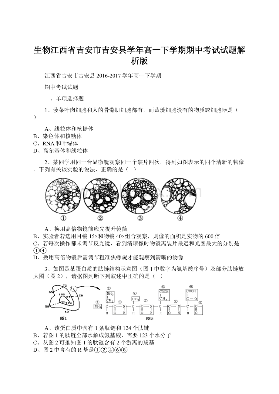 生物江西省吉安市吉安县学年高一下学期期中考试试题解析版.docx