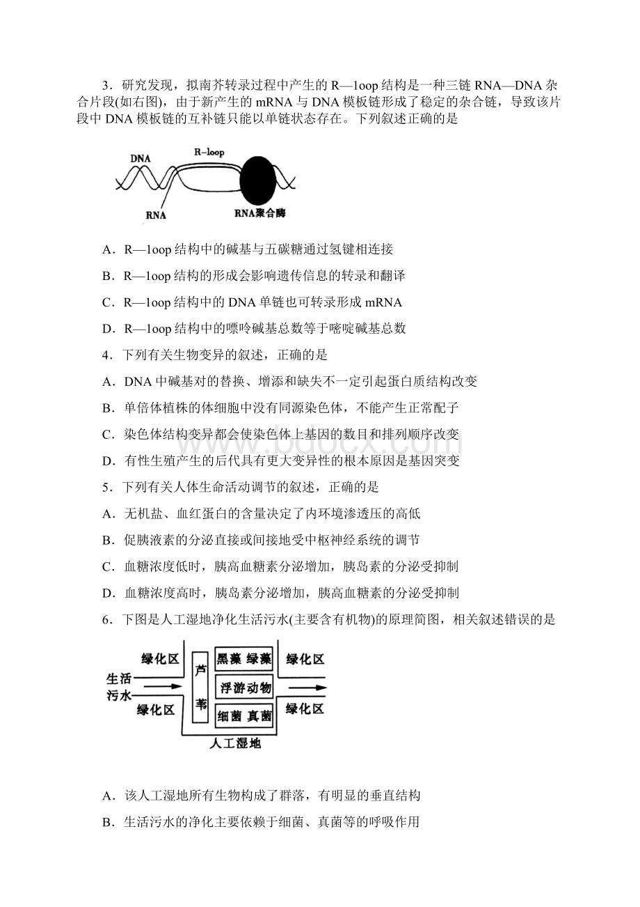 届山东省日照市高三下学期第二次模拟考试理科综合试题.docx_第2页