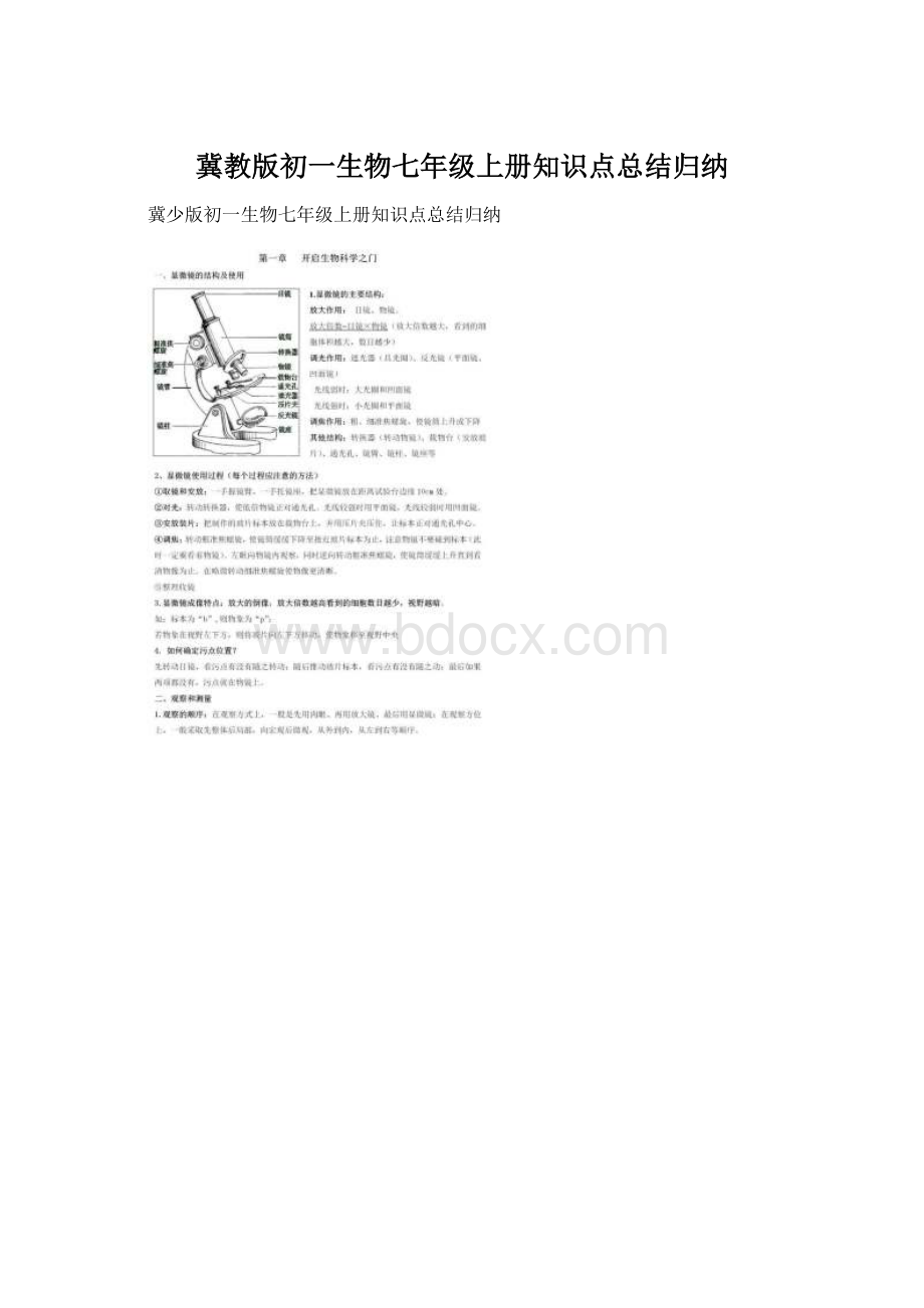 冀教版初一生物七年级上册知识点总结归纳Word下载.docx