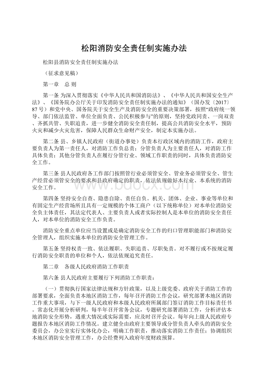 松阳消防安全责任制实施办法.docx