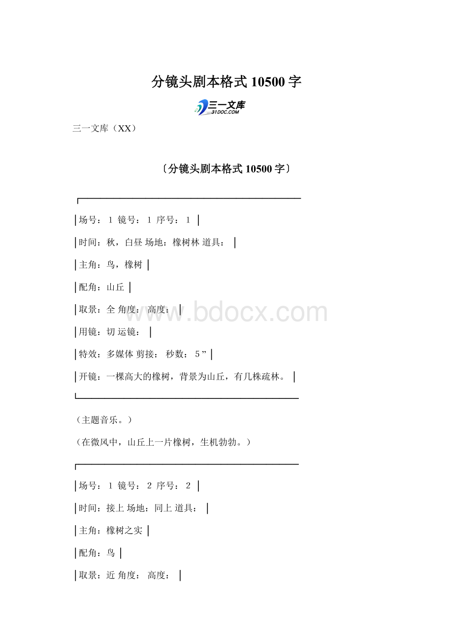 分镜头剧本格式 10500字.docx