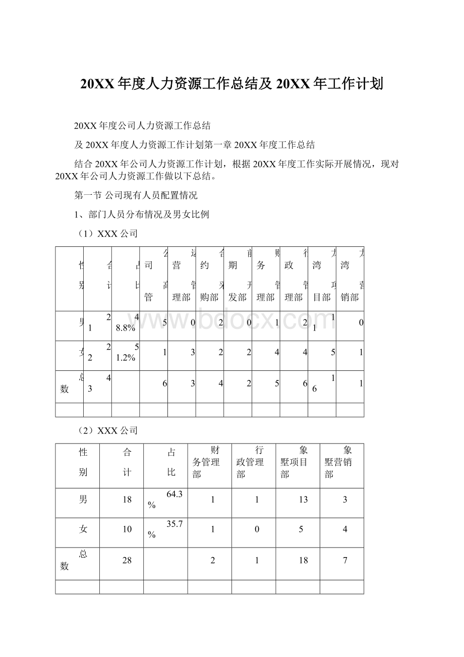 20XX年度人力资源工作总结及20XX年工作计划Word格式文档下载.docx_第1页