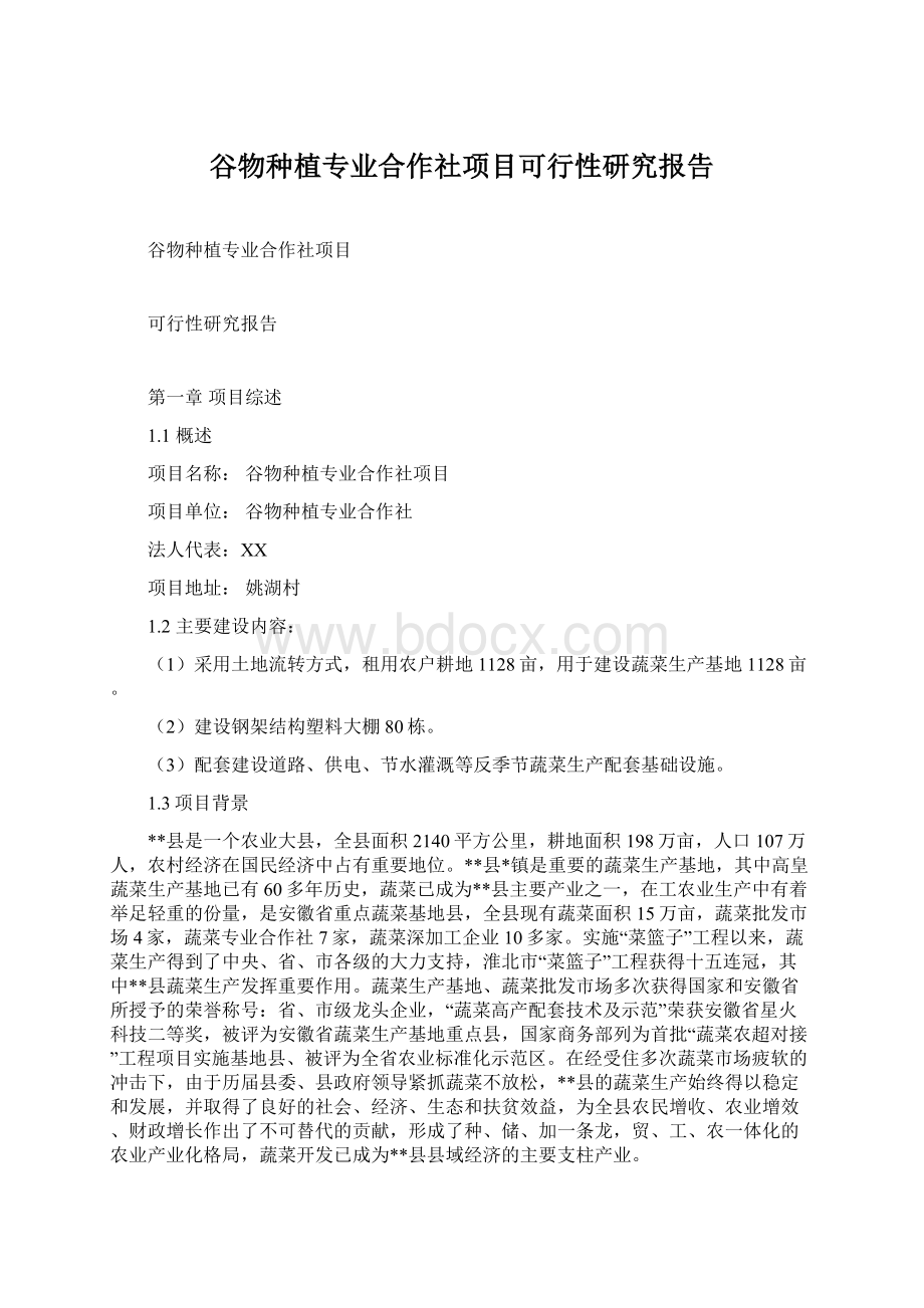 谷物种植专业合作社项目可行性研究报告.docx_第1页