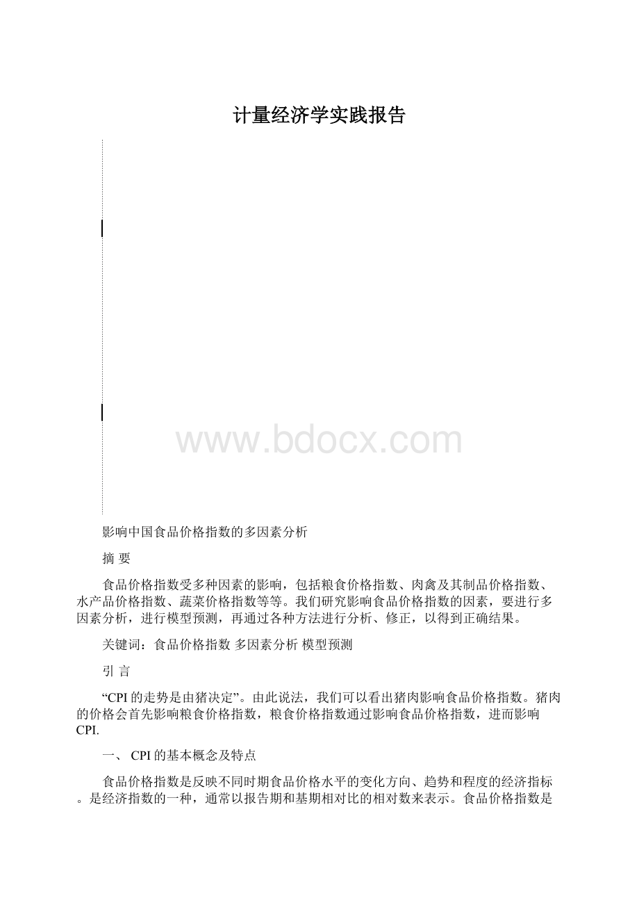 计量经济学实践报告Word文档格式.docx