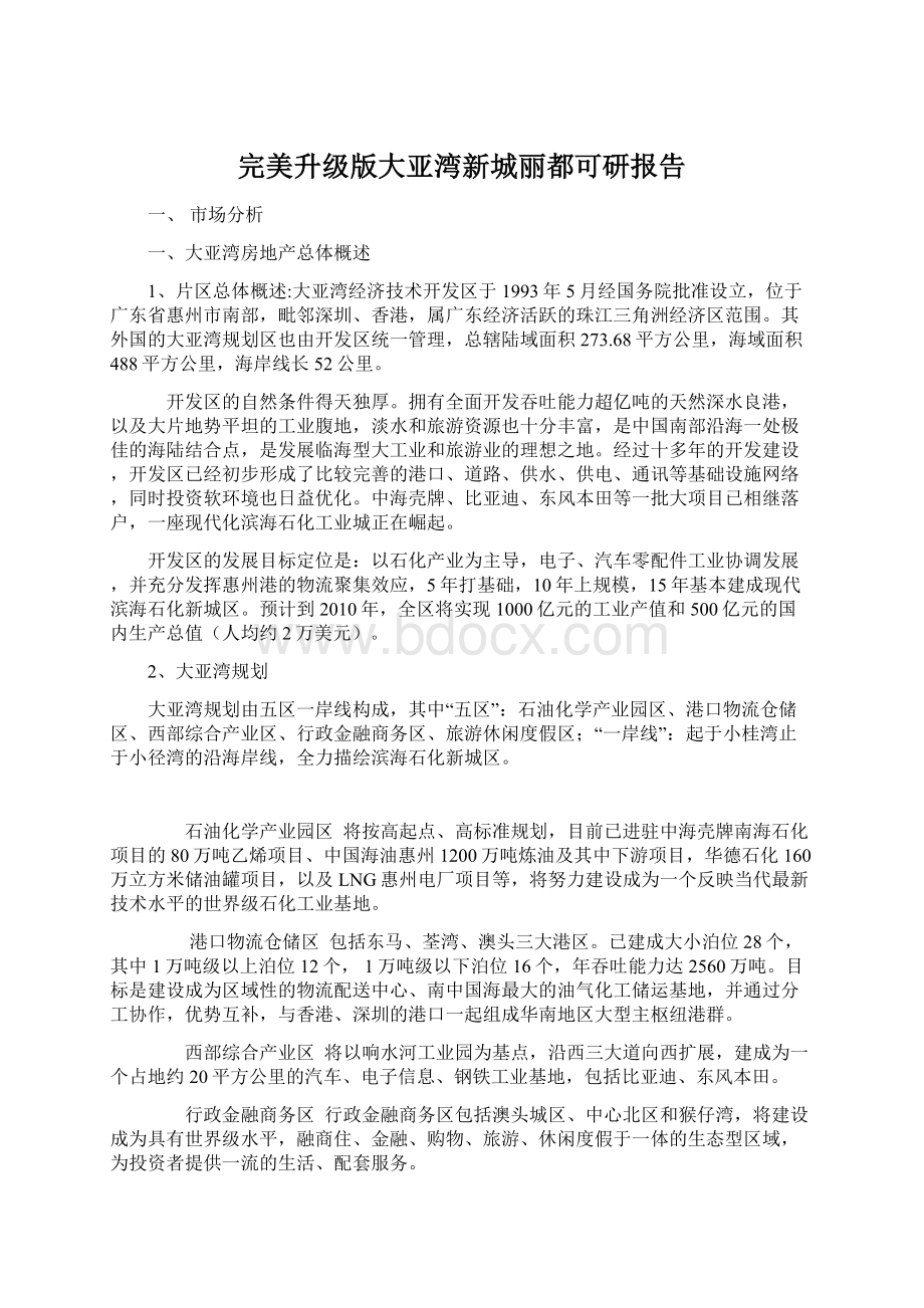 完美升级版大亚湾新城丽都可研报告.docx