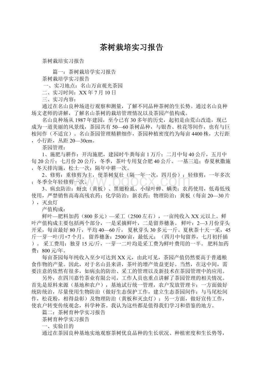 茶树栽培实习报告.docx_第1页