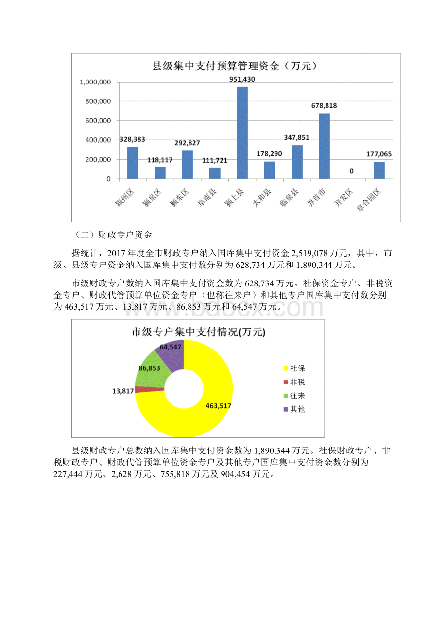 阜阳国库集中支付统计报告.docx_第3页