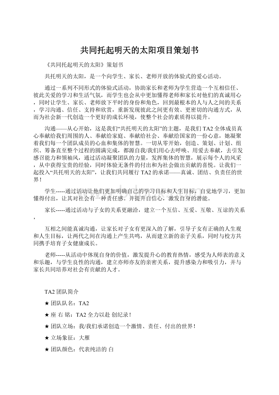 共同托起明天的太阳项目策划书.docx_第1页