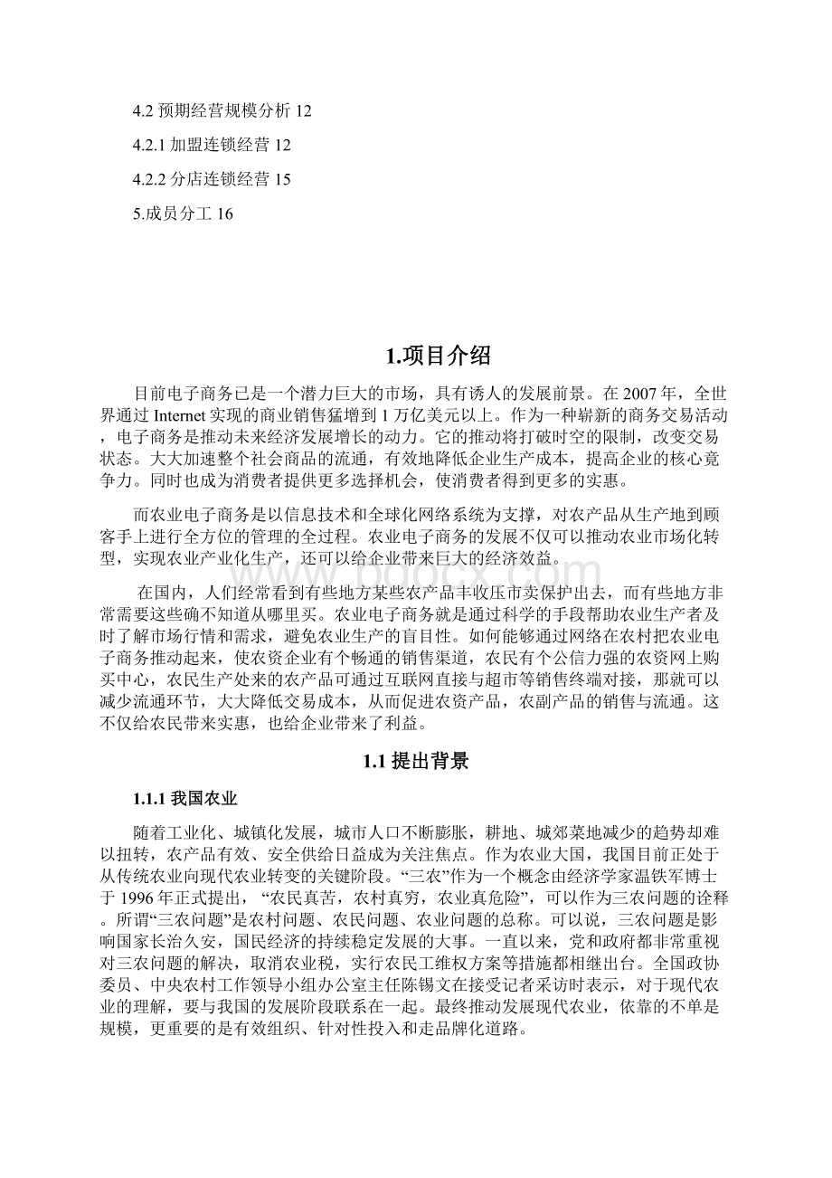 精品移动互联网+三农电子商务精品策划创业计划书三农电子商务众筹项目计划书Word格式.docx_第2页